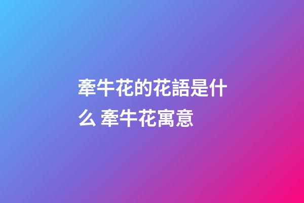 牽牛花的花語是什么 牽牛花寓意
